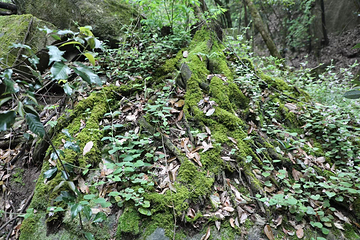 苍龙峡风景区第 20 张图片