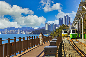 海云台蓝线公园