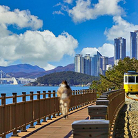 海云台蓝线公园列车