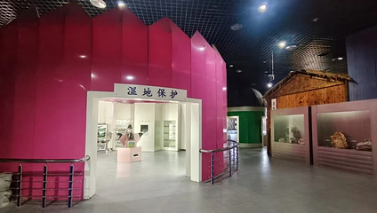 滕州微山湖红荷湿地第 111 张图片