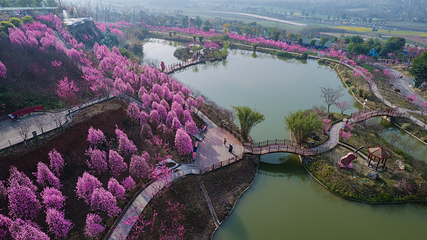 音乐百花谷第 72 张图片