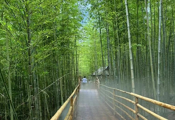 峨山彝人谷竹海景区第 27 张图片