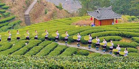 仙人山景区第 11 张图片