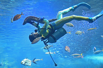 新江之岛水族馆第 5 张图片
