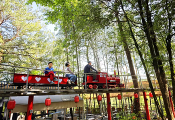 东黄山·石门秘境第 29 张图片