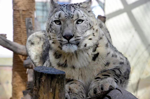 西宁野生动物园