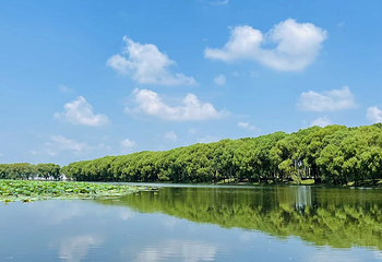 洪湖生态旅游区第 9 张图片