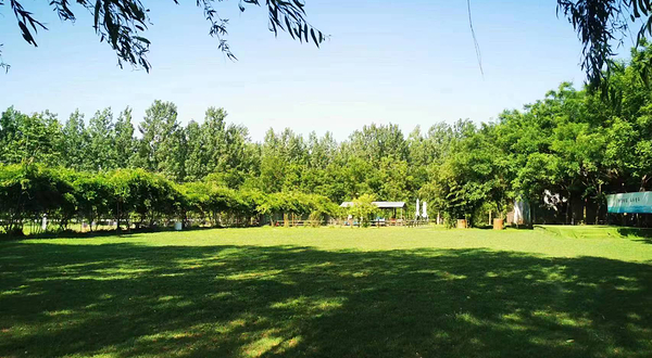 悦芽谷亲子乐园