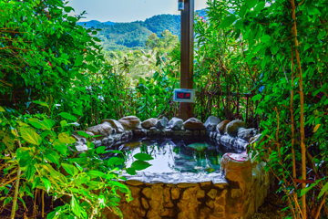 南昆山云顶温泉第 79 张图片