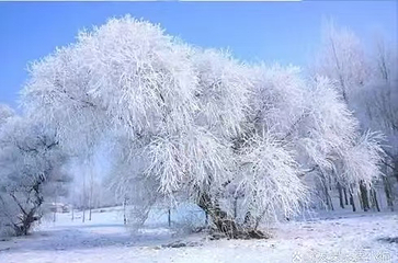 长白山红柳雾凇漂流风景区第 11 张图片