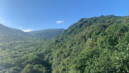 香炉山国家森林公园第 56 张图片