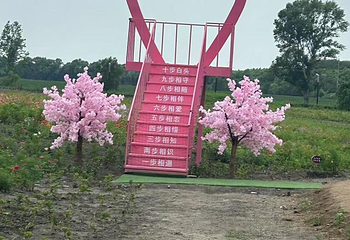 闫家岗稻田画第 14 张图片