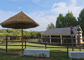 鹿铃奇遇森林牧场