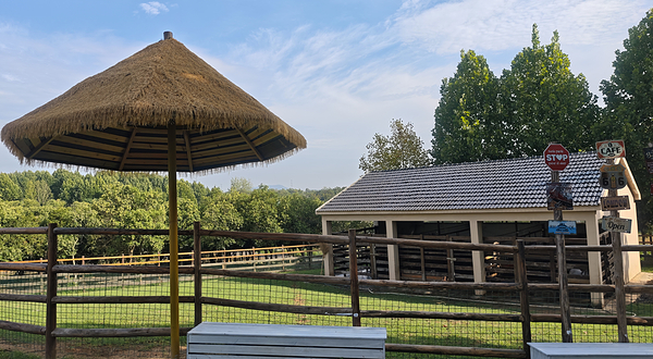 鹿铃奇遇森林牧场