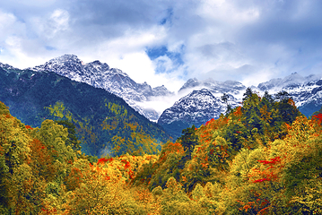 二郎山喇叭河风景区第 49 张图片