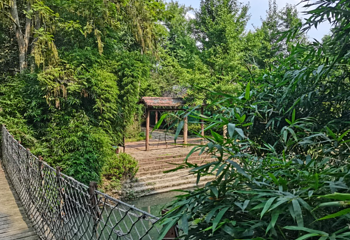 清水里森林营地第 4 张图片
