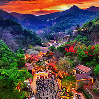 山东文旅·红叶柿岩旅游区