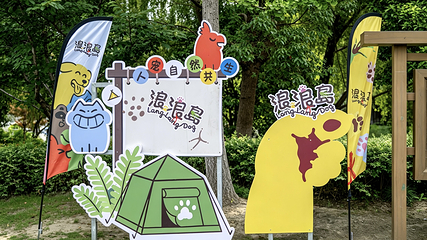 宠聚落·浪浪岛第 5 张图片
