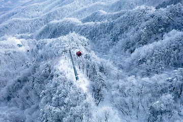 洛阳白云山风景区第 92 张图片