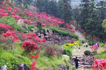 长兴城山沟景区第 43 张图片