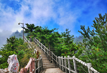 秦岭天竺山生态文化旅游景区第 30 张图片