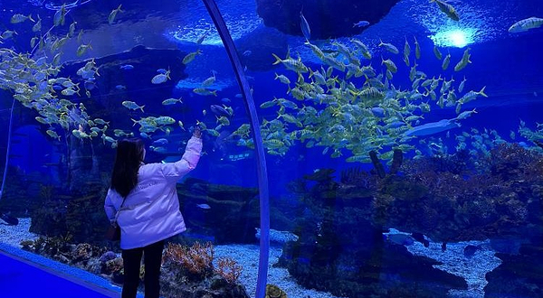 金华万泰海立方海洋公园