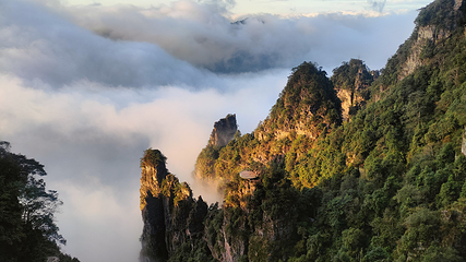 大瑶山盘王界景区第 35 张图片