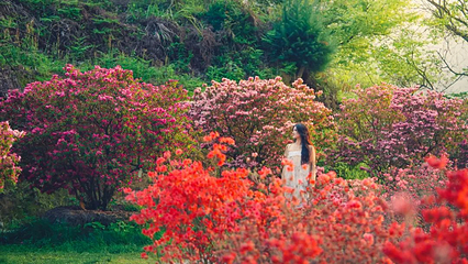 婺源篁岭景区第 74 张图片