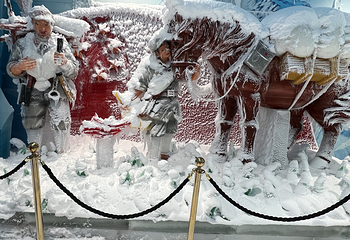 泰迪寰球冰雪世界第 12 张图片