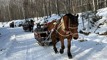 长白山途易露营地