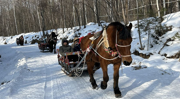 长白山途易露营地