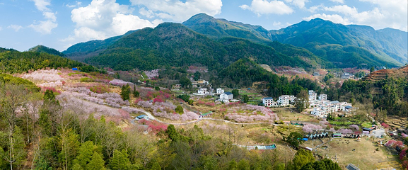 明月山花海原居第 4 张图片