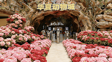 华夏动物城(武汉店)