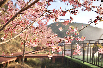 钱来山景区第 73 张图片