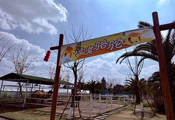 鹿溪花园第 17 张图片