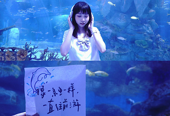 恒远海立方·中山海洋馆第 79 张图片
