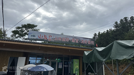 山与泉丛林越野露营龙虾垂钓第 2 张图片
