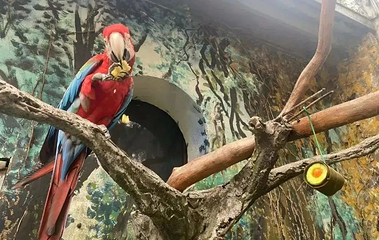 红山森林动物园第 323 张图片