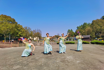 中华龙乐园第 16 张图片
