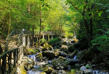三清山玉帘瀑布第 16 张图片