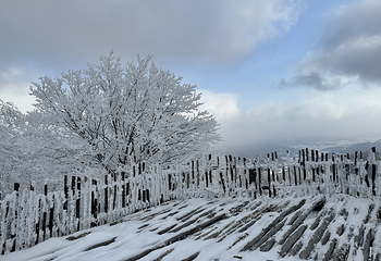 北大湖滑雪度假区第 25 张图片