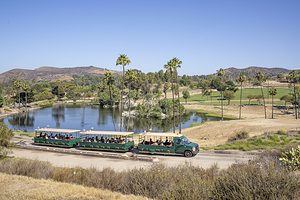 圣迭戈野生动物园