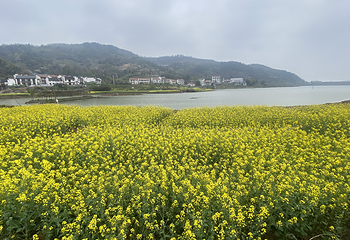 湖北大冶·桃花源里沉浸式水上漫游演出第 5 张图片