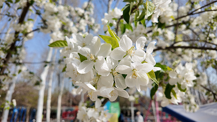 周公河游乐园第 15 张图片