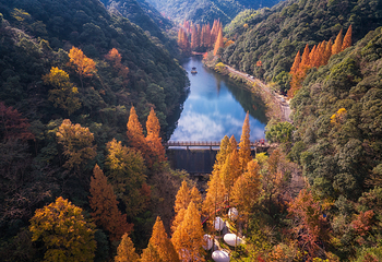 宁海森林温泉旅游度假区第 2 张图片