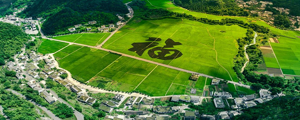 万峰林景区第 140 张图片