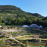 山间绿生缘农场