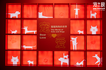 深圳博物馆《宠·爱—猫猫狗狗的世界》展览第 1 张图片