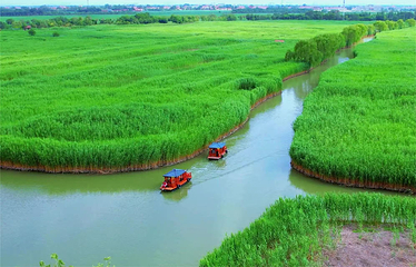 山东文旅马踏湖旅游区第 7 张图片