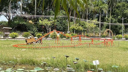 天湖鹭鸟生态风景区第 25 张图片